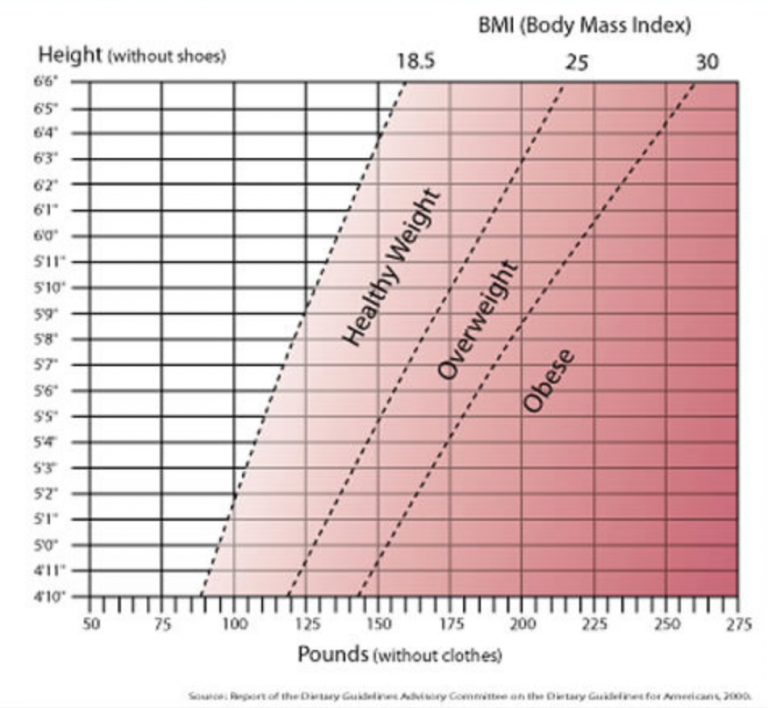 What Should My BMI Be? Does It Really Matter Anyway? The Home Gym