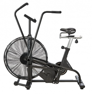 assault air bike