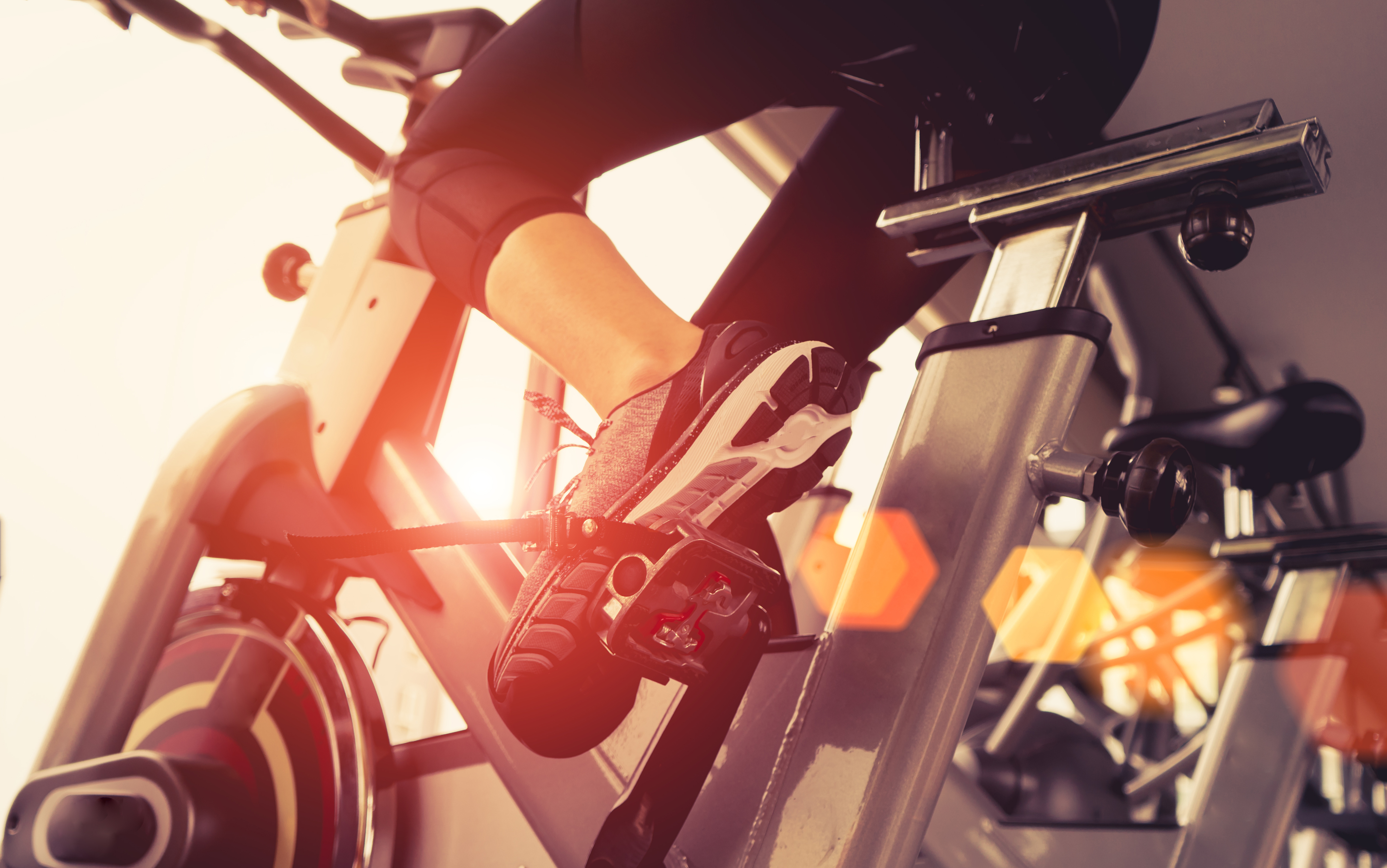 sole fitness spin bike