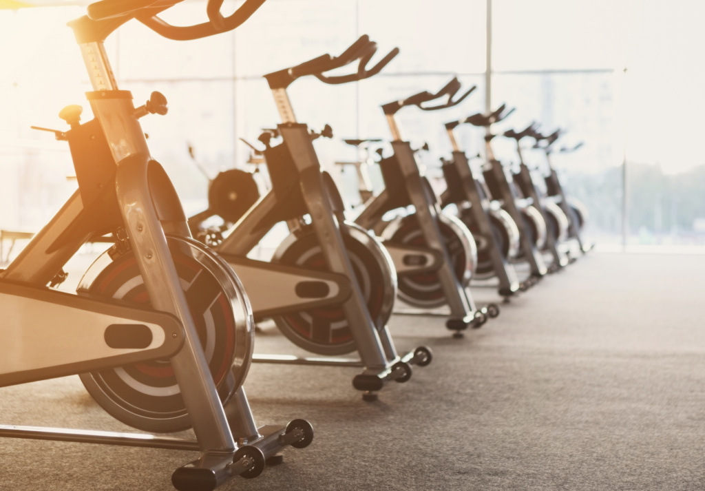 sole fitness spin bike