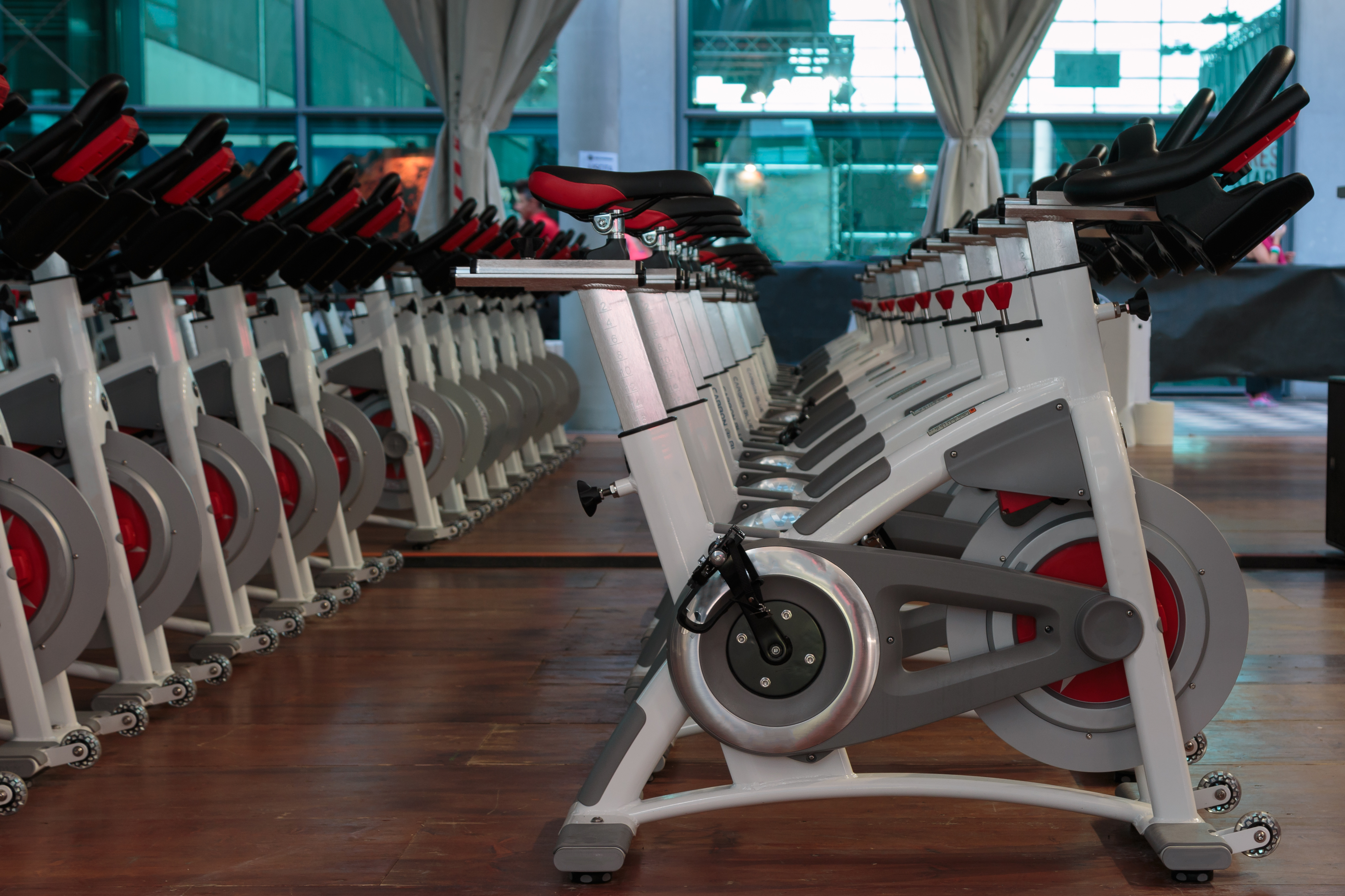 Gå tilbage Nu Berri Is The Schwinn AC Performance Plus Indoor Cycle Worth The Investment? - A  Review - The Home Gym