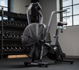 rogue echo bike review