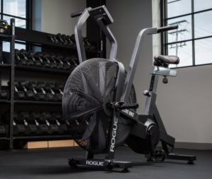 rogue echo bike