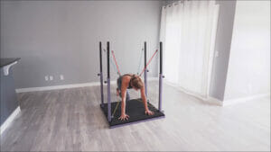the evolution mountain climbers