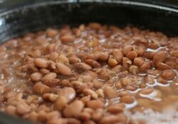 black beans vs pinto beans