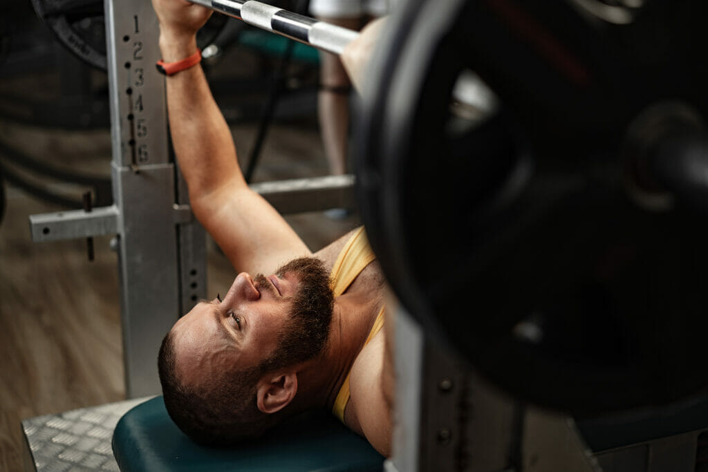 decline press muscles worked