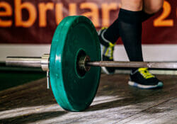 best barbells for home gyms